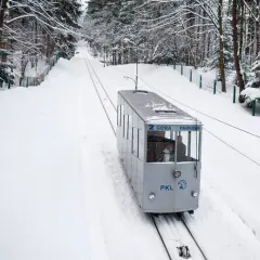 Ile kosztują bilety na Górę Parkową? Sprawdzamy ceny na 2025!