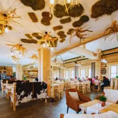 Gdzie zjeść w Solinie? Top 5 restauracji nad Jeziorem Solińskim