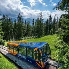 Zakopane z dziećmi: Top 10 atrakcji letnich i zimowych w Tatrach