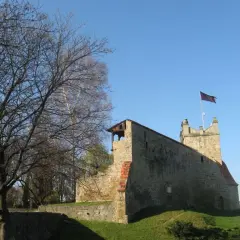 Zamek królewski w Nowym Sączu – historia, tajemnice i atrakcje