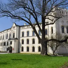 Zamek w Żywcu: Fascynująca historia i tajemnice muzeum