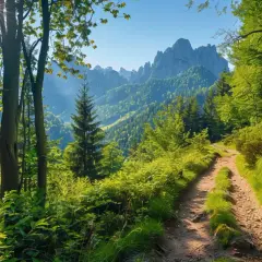 Pieniny: Oto top 10 najpiękniejszych szlaków w Parku Narodowym