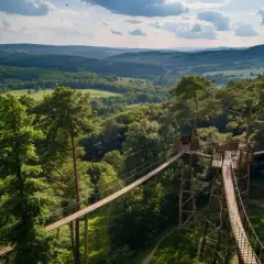 Bieszczadzka przygoda: Ranking najlepszych parków linowych 2025