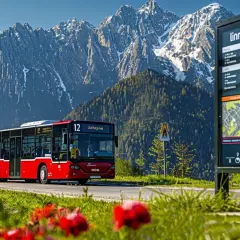 Zakopiański transport: Linia autobusowa 12 i rozkłady jazdy 2025