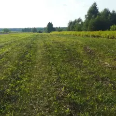 Ile kosztuje hektar ziemi w świętokrzyskim? Zaskakujące ceny i czynniki wpływające na wartość