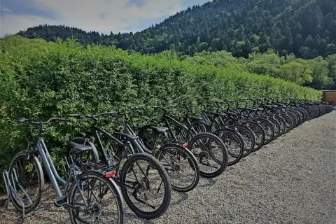 Rowery elektryczne Szczawnica: Ranking 5 najtańszych wypożyczalni