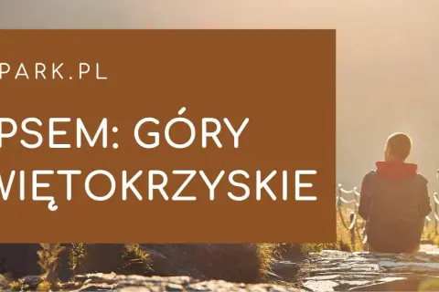 Gdzie z psem w Świętokrzyskim? Najlepsze trasy i miejsca dla psów