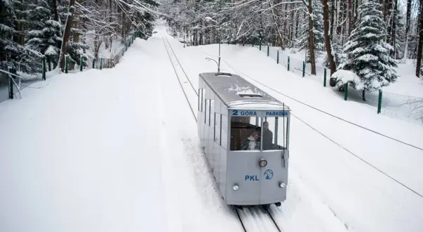 Ile kosztują bilety na Górę Parkową? Sprawdzamy ceny na 2025!