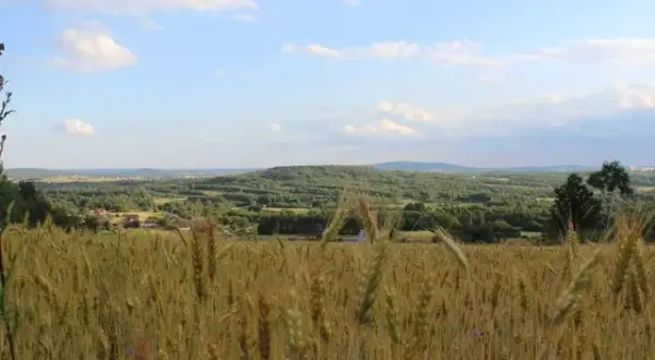 W którym roku powstał Świętokrzyski Park Narodowy i co warto wiedzieć?
