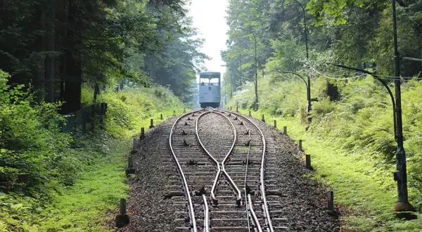 Szlaki Góry Parkowej: Które wybrać na rodzinny spacer? Rady!