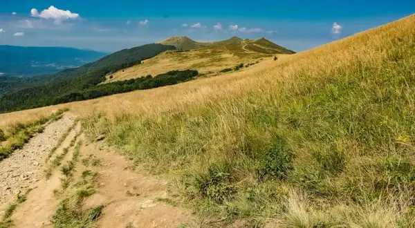 Szlaki turystyczne w Bieszczadach dla dzieci: Szlak Puszczański