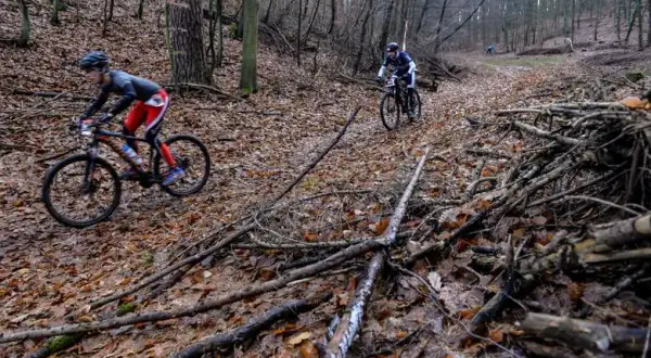 Pomorze: Najlepsze atrakcje: Trójmiejski Park Krajobrazowy