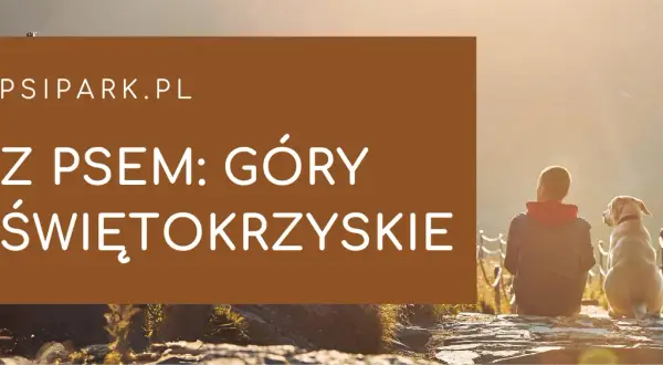 Gdzie z psem w Świętokrzyskim? Najlepsze trasy i miejsca dla psów