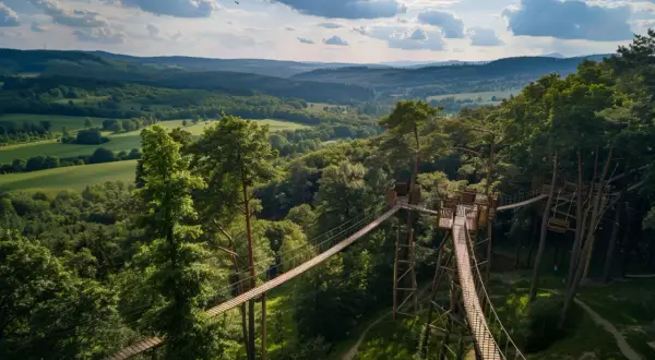 Bieszczadzka przygoda: Ranking najlepszych parków linowych 2025