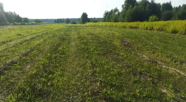 Ile kosztuje hektar ziemi w świętokrzyskim? Zaskakujące ceny i czynniki wpływające na wartość