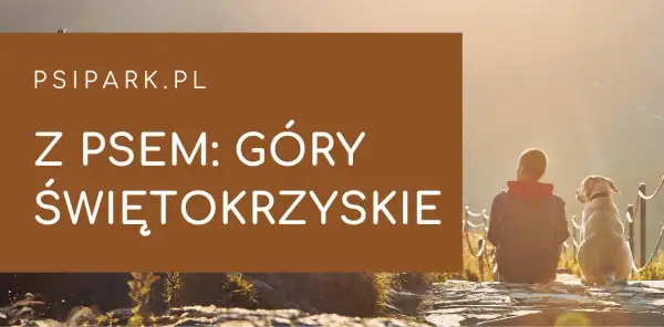 Gdzie z psem w Świętokrzyskim? Najlepsze trasy i miejsca dla psów